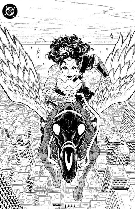 Absolute Wonder Woman Noir Edition #1C