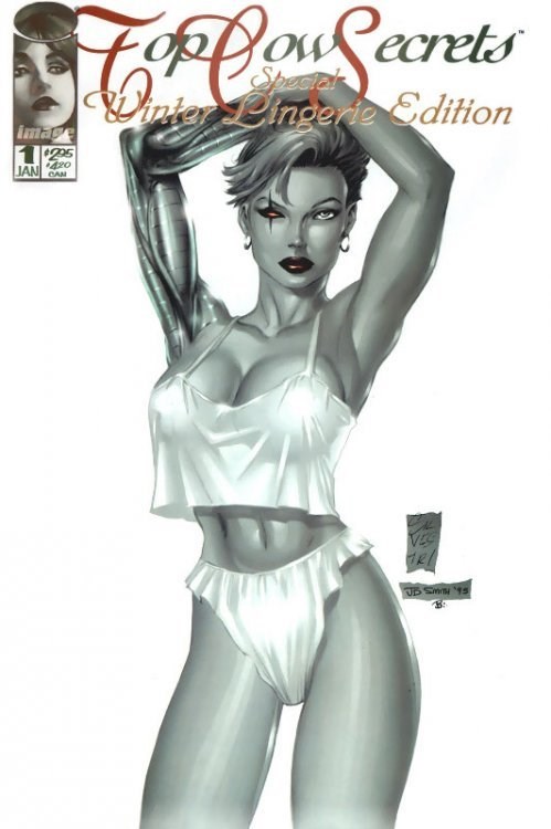 TOP COW SECRETS: SPECIAL WINTER LINGERIE EDITION #1