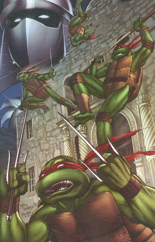 TEENAGE MUTANT NINJA TURTLES: 30TH ANNIVERSARY SPECIAL #1-ACCC