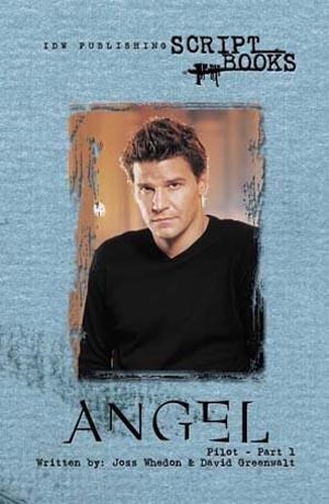 ANGEL SCRIPTBOOK (NON COMIC) #1