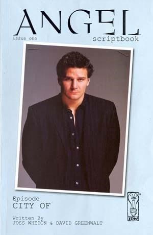 ANGEL SCRIPTBOOK (NON COMIC) #1B