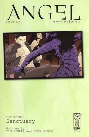 ANGEL SCRIPTBOOK (NON COMIC) #6