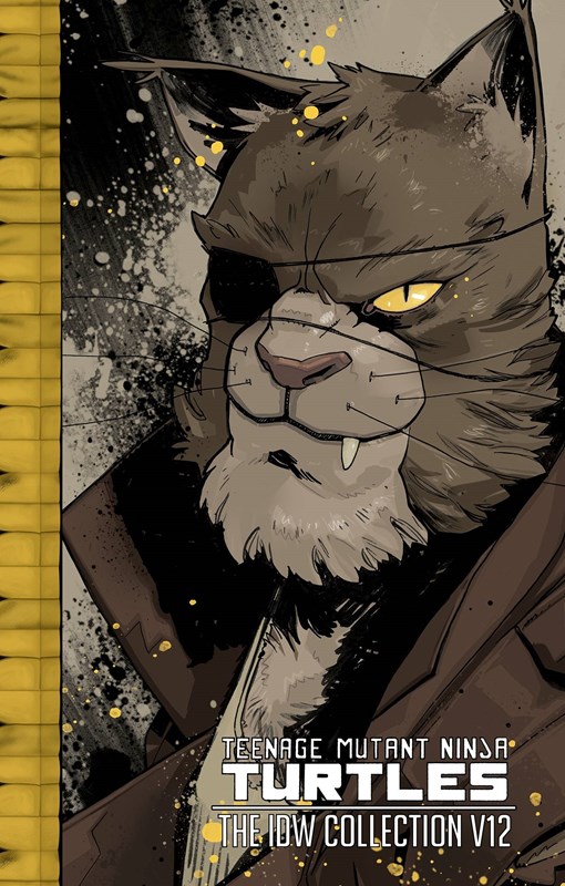 TEENAGE MUTANT NINJA TURTLES: THE IDW COLLECTION #12