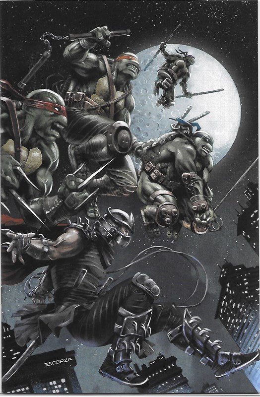 Teenage Mutant Ninja Turtles: The Armageddon Game #1-TCMNY