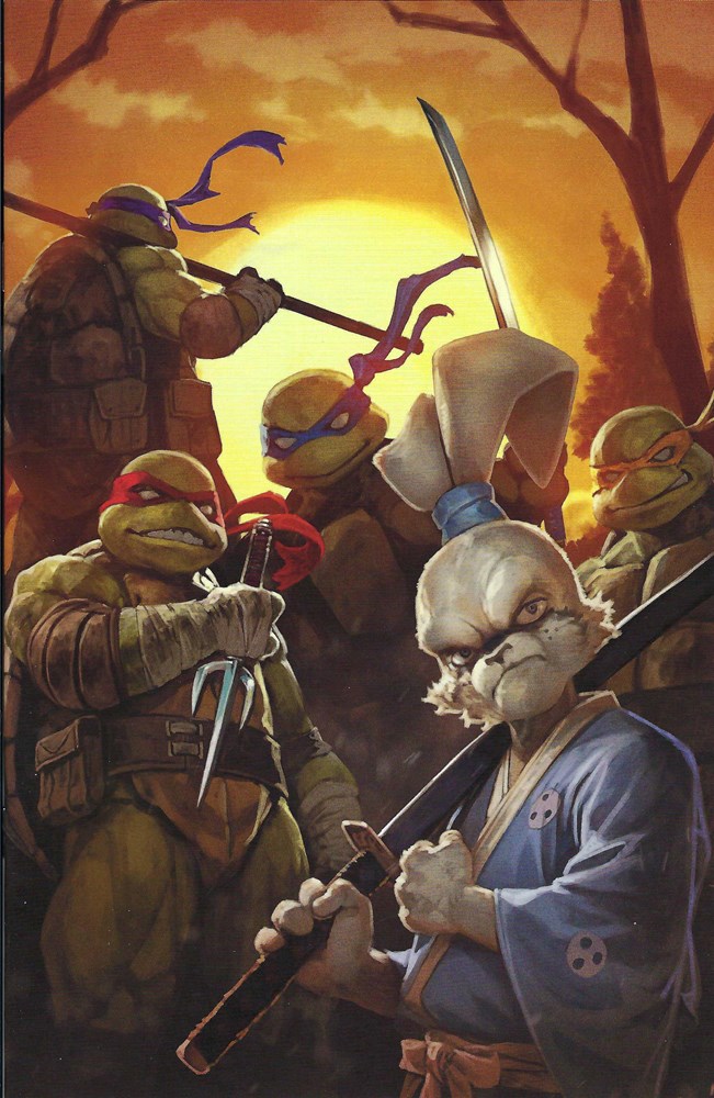 Teenage Mutant Ninja Turtles / Usagi Yojimbo: Wherewhen #1-BCDCJ