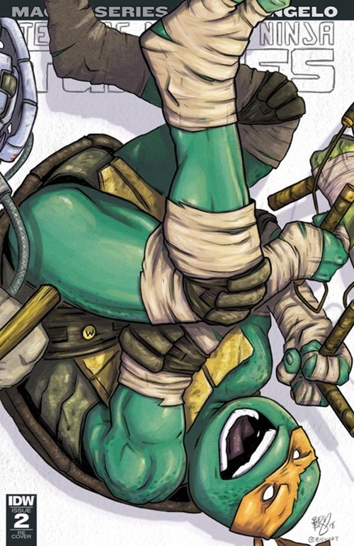 TEENAGE MUTANT NINJA TURTLES: MACRO-SERIES #2-DMIDN
