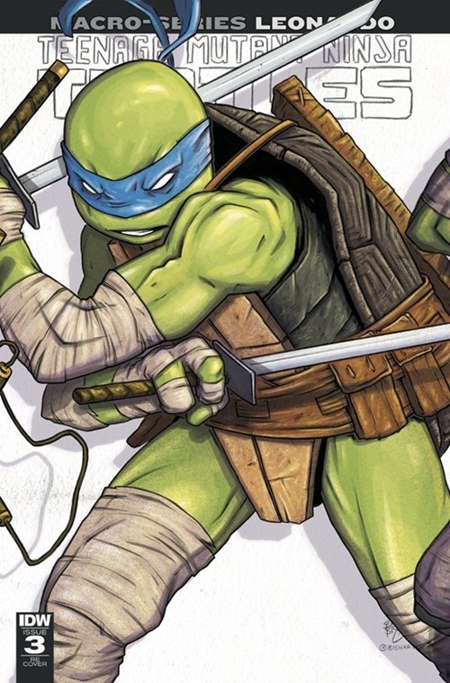 TEENAGE MUTANT NINJA TURTLES: MACRO-SERIES #3-DMIDN
