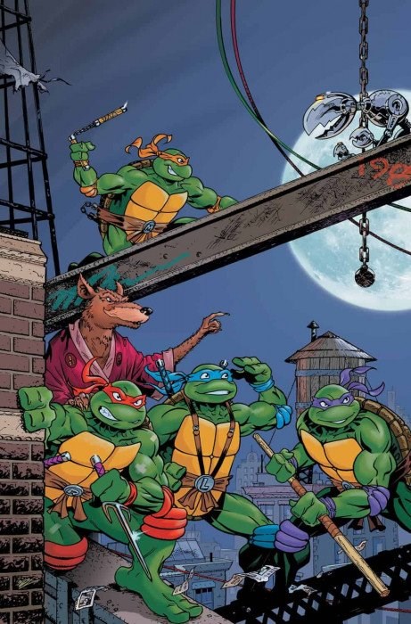 TEENAGE MUTANT NINJA TURTLES: SATURDAY MORNING ADVENTURES - CONTINUED #1-RI-B