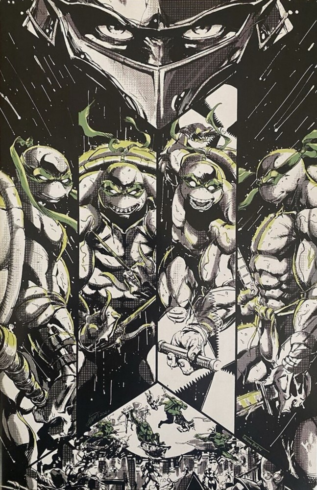 TEENAGE MUTANT NINJA TURTLES: BLACK, WHITE, & GREEN #1-STHL