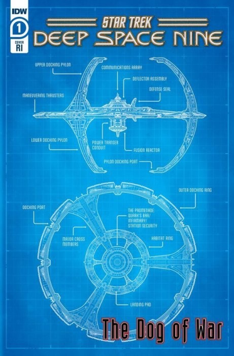 Star Trek: Deep Space Nine - The Dog Of War #1-RI-B