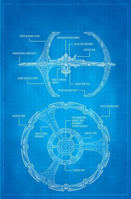 Star Trek: Deep Space Nine - The Dog Of War #1-RI-C
