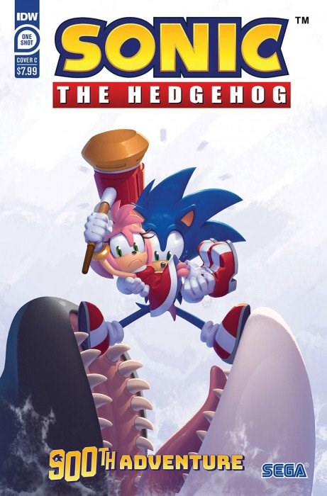 SONIC THE HEDGEHOG’S 900TH ADVENTURE #1C