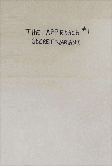 THE APPROACH #1-NYCC