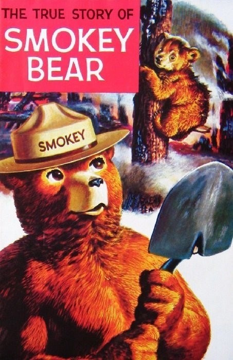 THE TRUE STORY OF SMOKEY THE BEAR #1990