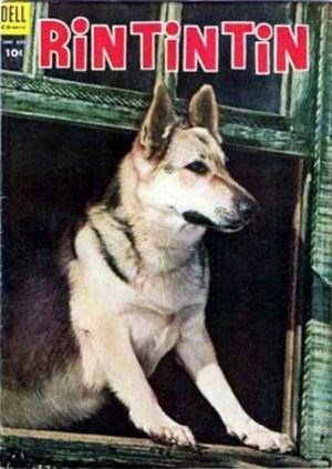 RIN TIN TIN #5