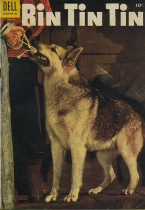 RIN TIN TIN #7