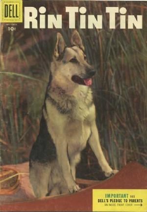 RIN TIN TIN #10