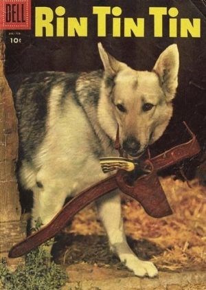 RIN TIN TIN #11