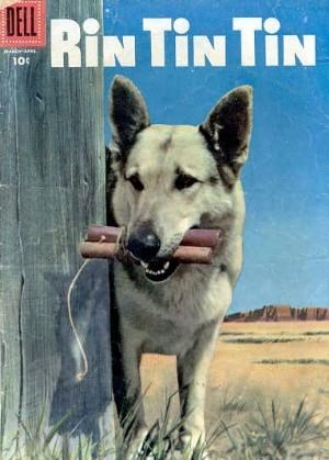 RIN TIN TIN #12