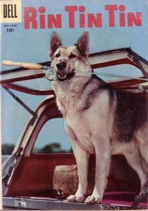 RIN TIN TIN #13