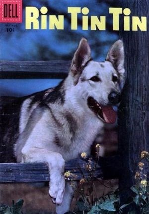 RIN TIN TIN #14