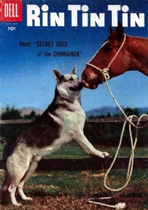 RIN TIN TIN #15