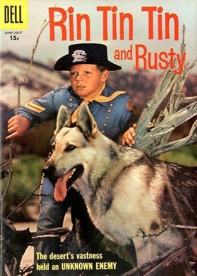 RIN TIN TIN #19B