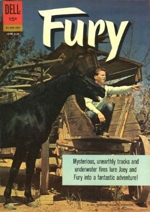 FURY #1292208