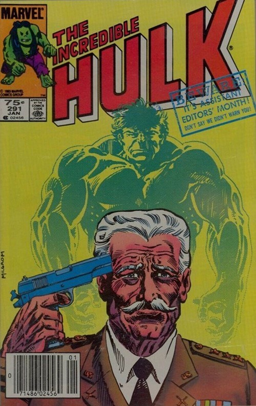 THE INCREDIBLE HULK #291C