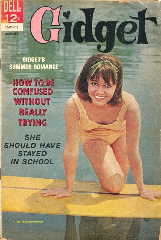 GIDGET #2