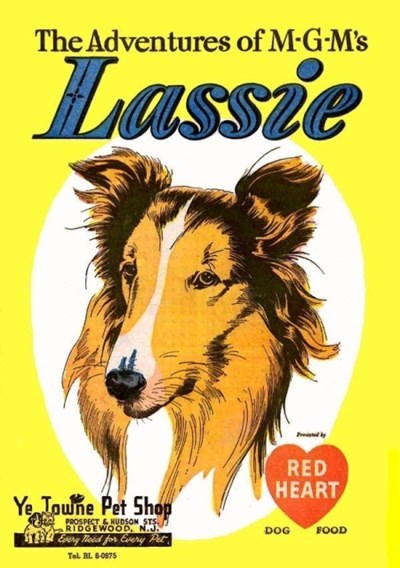 ADVENTURES OF M.G.M'S LASSIE #nn