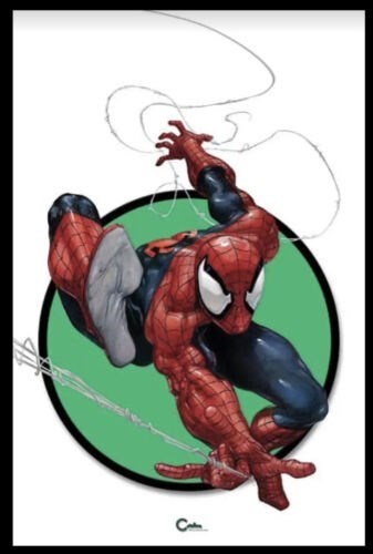 THE AMAZING SPIDER-MAN #1-CCBFC-D