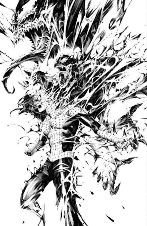 THE AMAZING SPIDER-MAN #1-FANX-B
