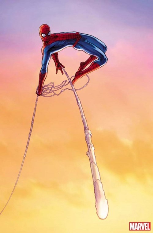 THE AMAZING SPIDER-MAN #797D
