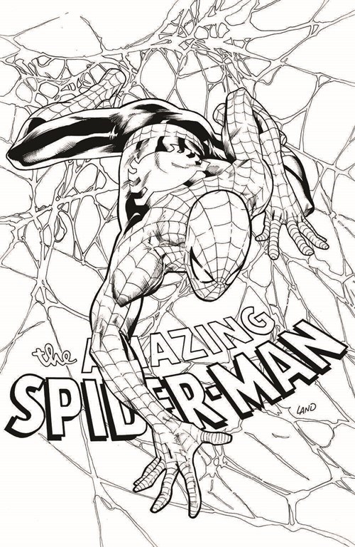 THE AMAZING SPIDER-MAN #798-TCH-B