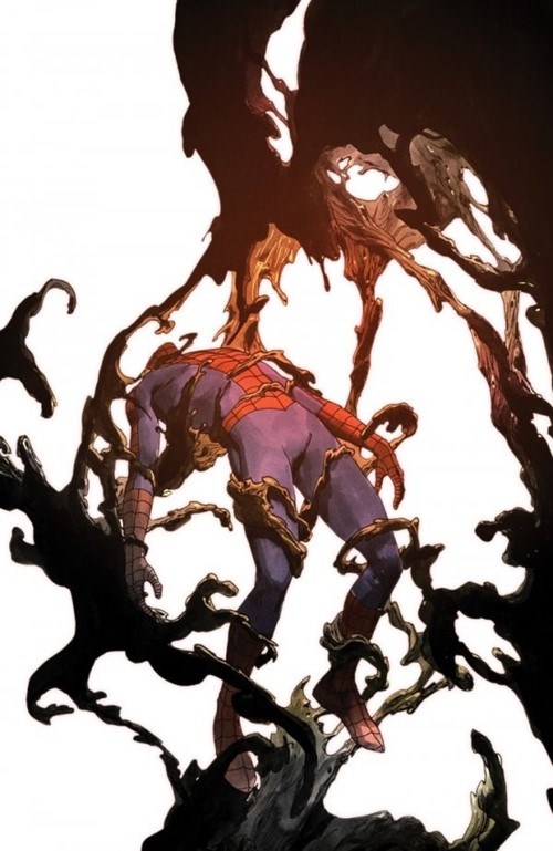 SPIDER-MAN: THE SPIDER'S SHADOW #1-BFLAG-B