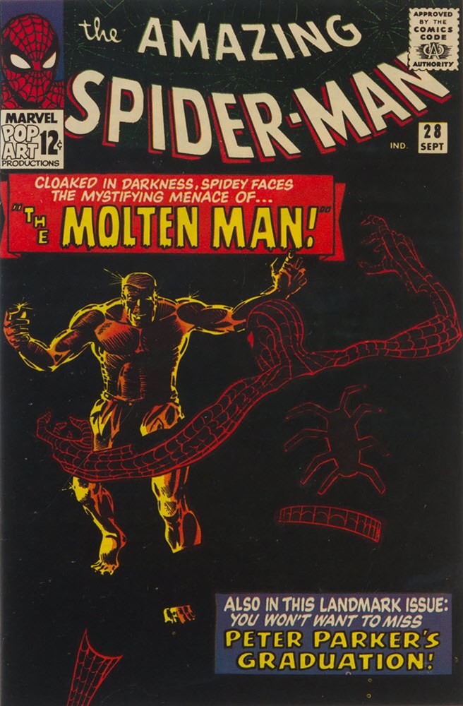 THE AMAZING SPIDER-MAN #28