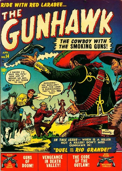 GUNHAWK #14