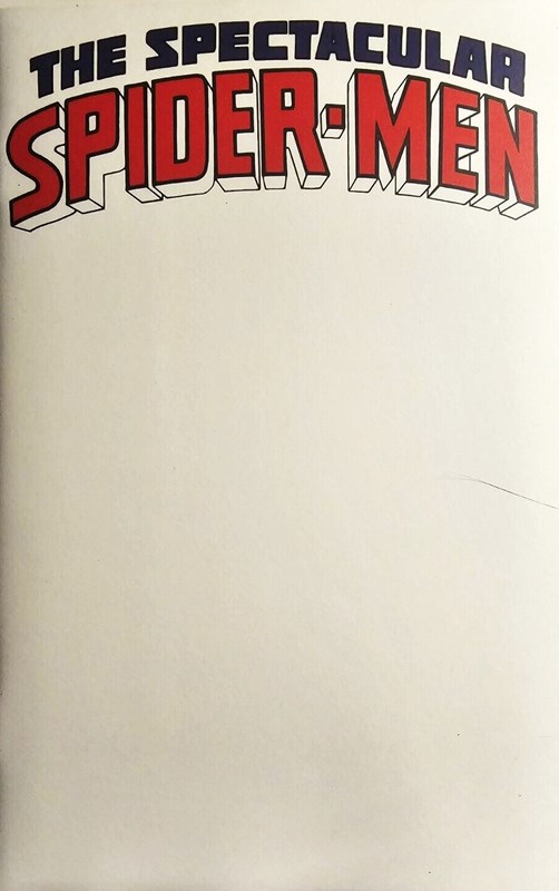 THE SPECTACULAR SPIDER-MEN #1C