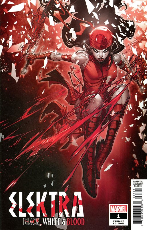 ELEKTRA: BLACK, WHITE, & BLOOD #1C