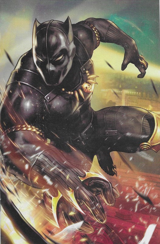 BLACK PANTHER AND THE AGENTS OF WAKANDA #1-RI
