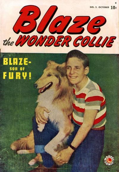 BLAZE THE WONDER COLLIE #2