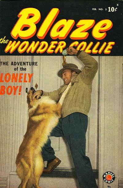 BLAZE THE WONDER COLLIE #3