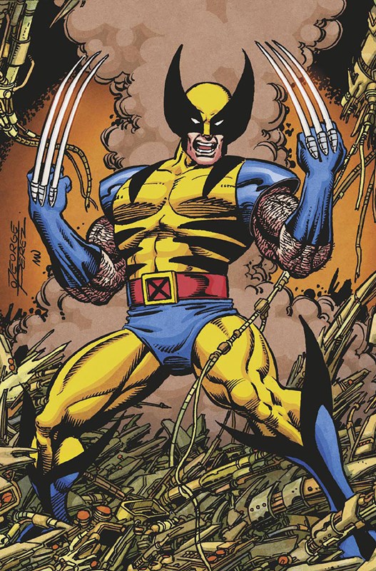 GHOST RIDER/WOLVERINE: WEAPONS VENGEANCE ALPHA #1-RI-B