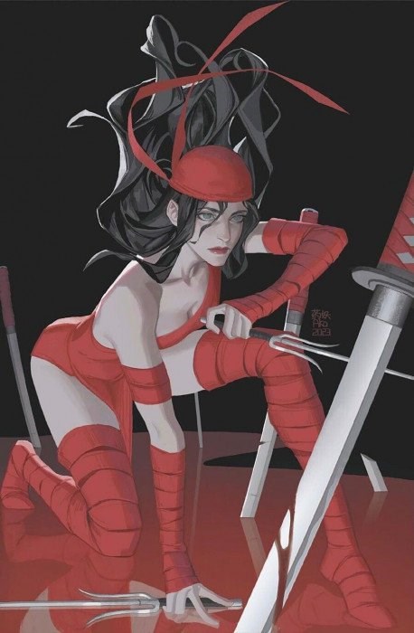 DAREDEVIL: GANG WAR #1-RI-C