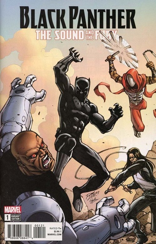 BLACK PANTHER: THE SOUND AND FURY #1B