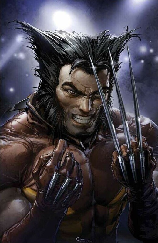 WOLVERINE LIMITED SERIES: FACSIMILE EDITION #1-FRANK-B