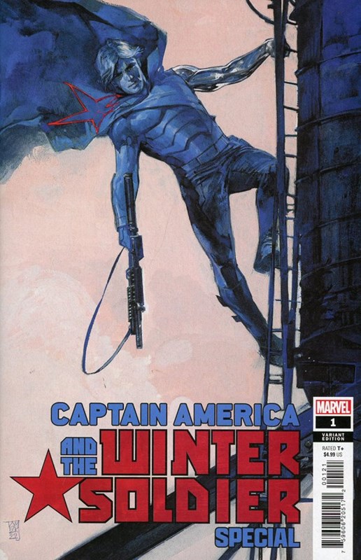 Captain America And The Winter Soldier Special #1C