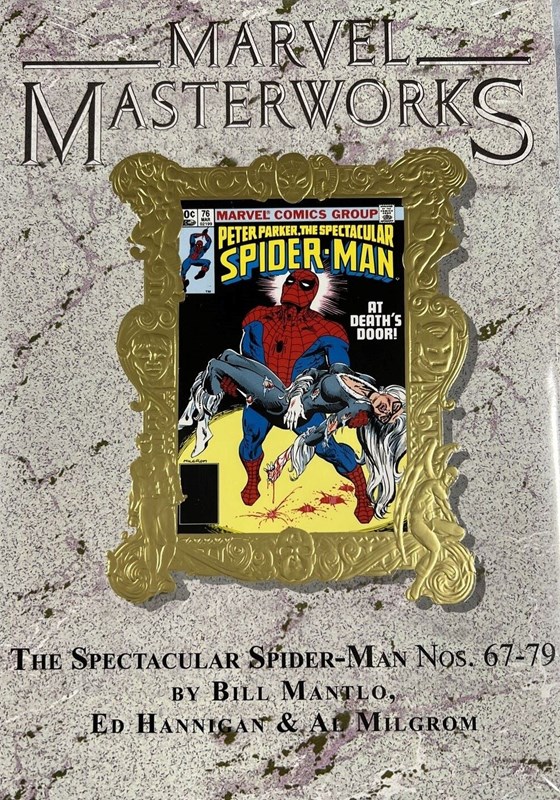 MARVEL MASTERWORKS: SPECTACULAR SPIDER-MAN #6B