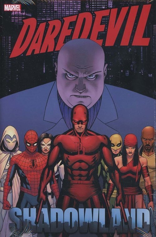 DAREDEVIL: SHADOWLAND OMNIBUS #1